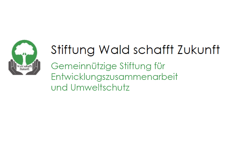 Stiftung Wald - Logo und Titelzeile