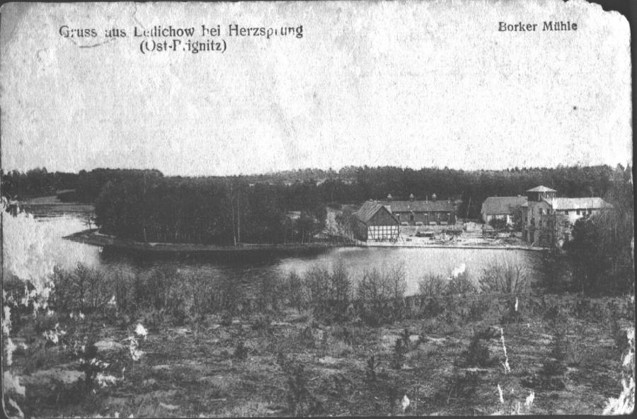 Borker Mühle